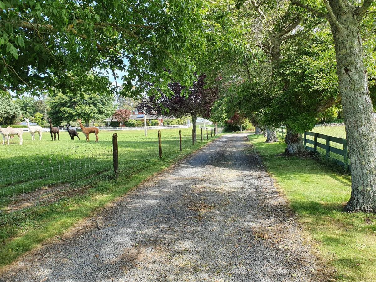 Country Cottage Rotorua Ngoại thất bức ảnh